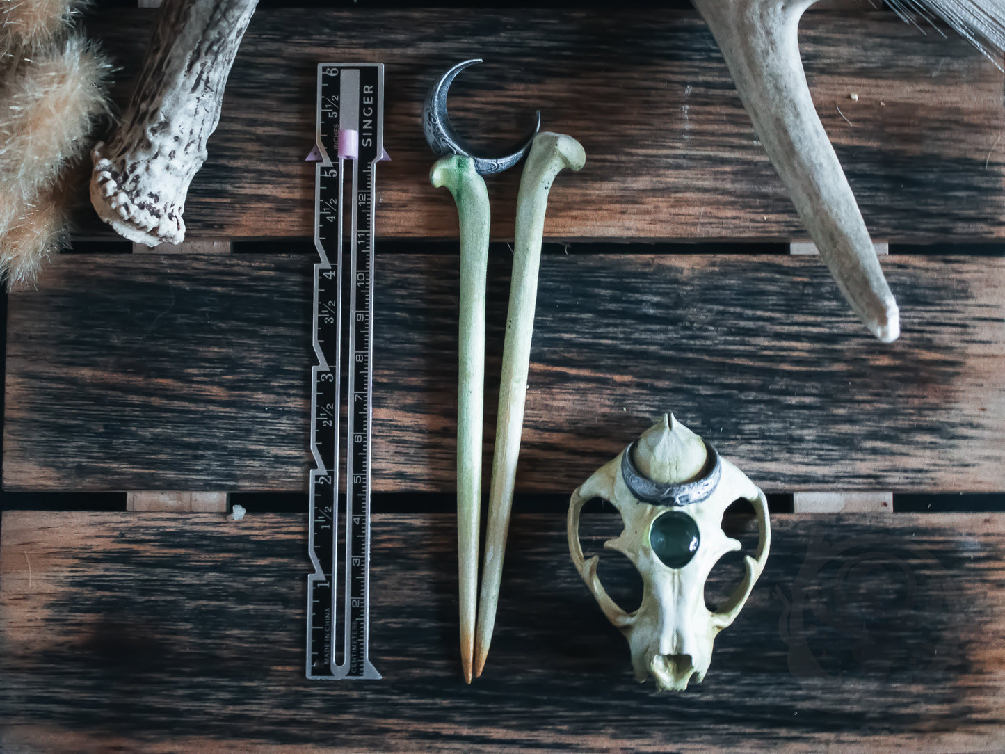 Pins with ruler for measurement, next to a Cat Skull (small).